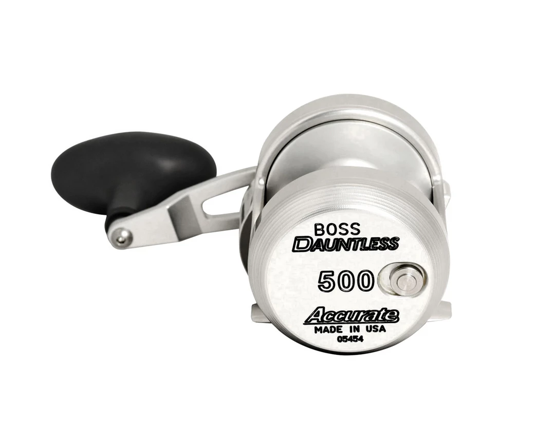 Accurate Reels Accurate Boss Dauntless Lever Drag 2 Speed Reels