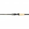 Casting Rods Megabass Destroyer P5 (JDM) F5.5-72X The X Bites