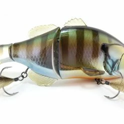 Freshwater Jackall Gantarel