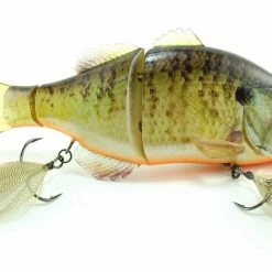 Freshwater Jackall Gantarel