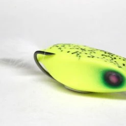 Freshwater Deps Slither K Topwater Frog