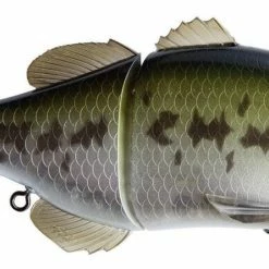 Freshwater Jackall Gantarel