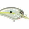 Spro John Crews Little John MD 50 Crankbait