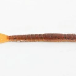 Freshwater Don Iovino 3