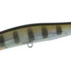 Duo Realis Spinbait 80 G-Fix Freshwater