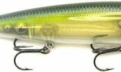 Strike King KVD Sexy Dawg Topwater
