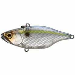 Jackall TN 60 Disk Knocker Lipless Crankbait Freshwater