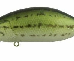 Ima Roumba Crankbait/Wakebait