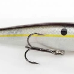 Freshwater Strike King KVD Jerkbaits