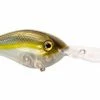 Strike King 6XD Silent Crankbait Freshwater