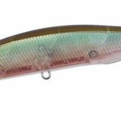 Freshwater Duo Realis Jerkbait 100SP