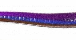 Roboworm 4 1/2" Fat Worm