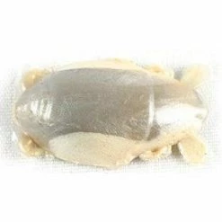 Saltwater Berkley Gulp Sand Crab Flea 1"