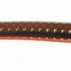 Roboworm 7" Straight Tail Worms Freshwater