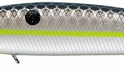 Freshwater Evergreen FA Jerkbaits