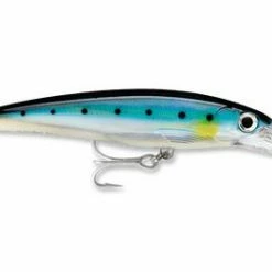 Rapala X-Rap XRMAG-15 Divebait 15'