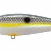 Freshwater Lucky Craft Silent Pointer 95 Jerkbait